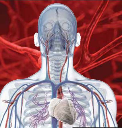 17th Annual Vascular Innovations Conference Banner
